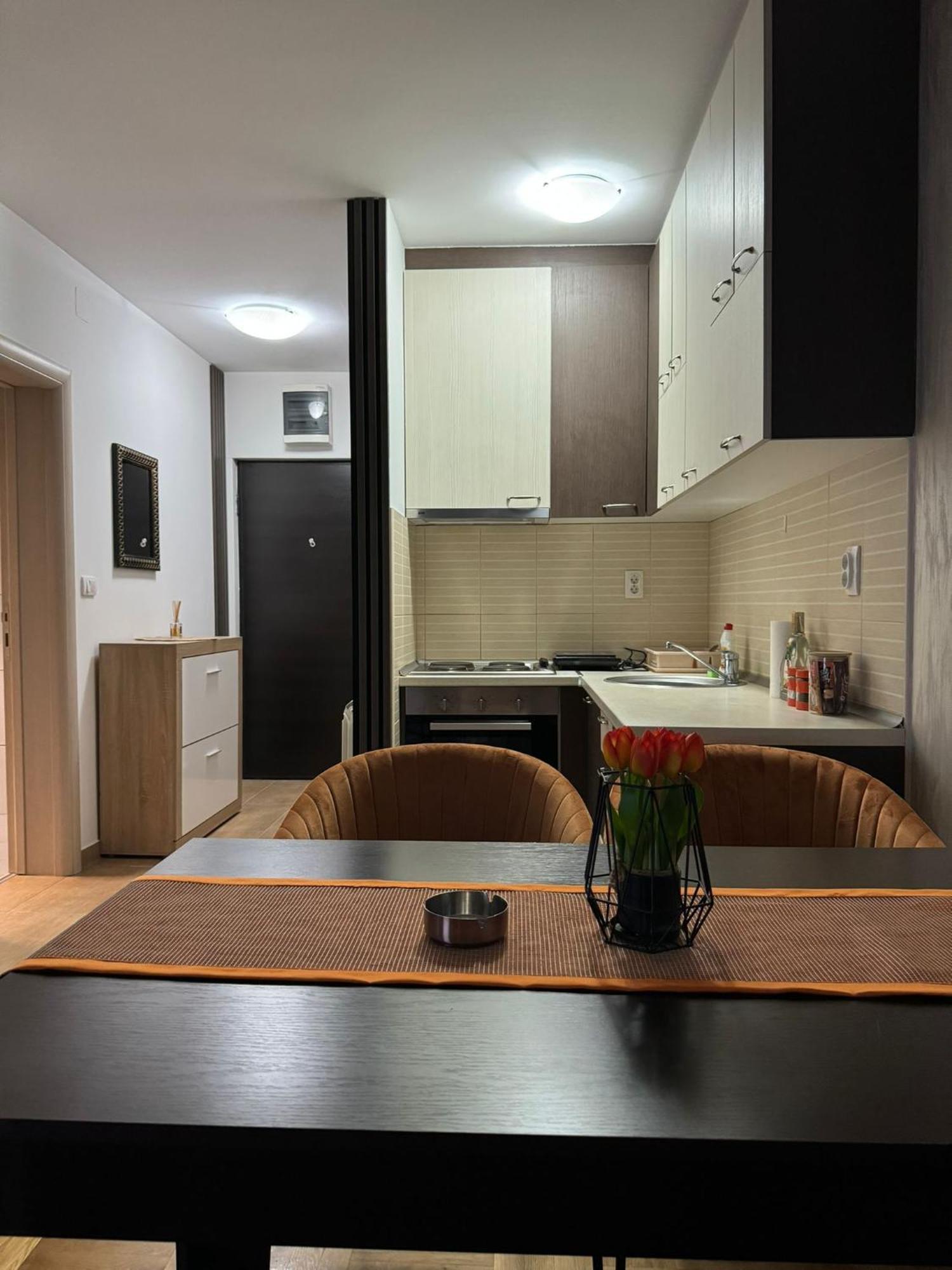 Stan Na Dan Aurora Apartment Pozarevac Exterior photo